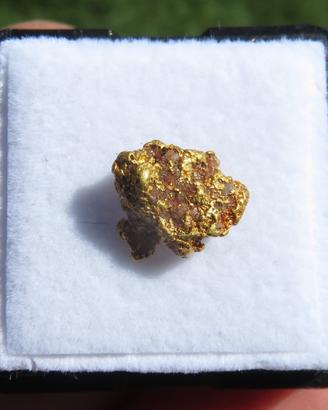 Pepita d'Oro Naturale con Matrice – Mt. Magnet, AU