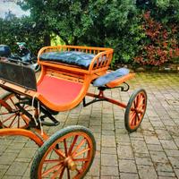 inglesina cavallo