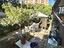 Immagine 12