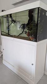 Acquario Juwel con mobile in legno massello