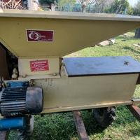 Diraspatrice Gemignani