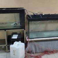 Attrezzatura per pescheria e friggitoria