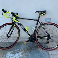 Bici da corsa Montana