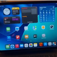 IPAD PRO 11 WI FI + CELLULAR 1 TB