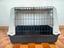 Immagine 5