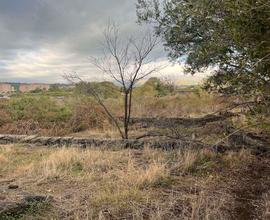 Rif.DR8| terreno agricolo acireale