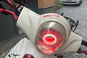 motorino elettrico vitale 250