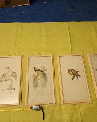 Set 4 Quadri Vintage con Stampe di Uccelli Esotici