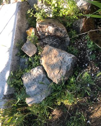 Pietre da giardino