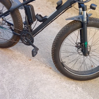Bicicletta elettrica