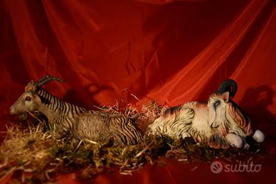 2 caproni grandi del presepe napoletano stile ‘700