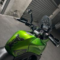 Kawasaki Versys 650 (2005)
