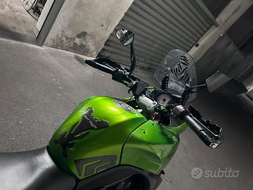 Kawasaki Versys 650 (2009)