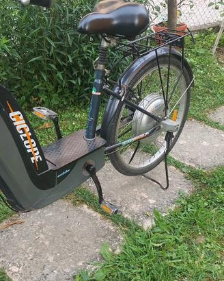 Bicicletta Elettrica