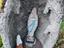 Immagine 3