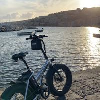 Bici elettrica