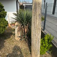 Due colonne in tufo da giardino