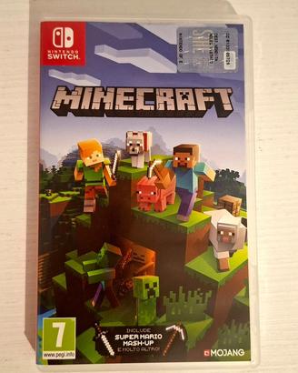 Minecraft Nintendo Switch