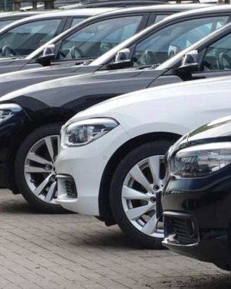 Protezione auto (flotte)