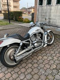 Harley Davidson V-Rod