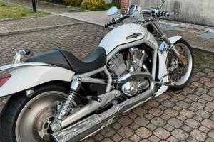 Harley Davidson V-Rod