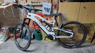 RAYMON FullRay 150E 10.0 29''