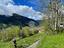 Immagine 11