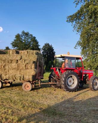 Ballette fieno primo taglio 2025