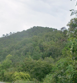 Terreno - Bosco Ceduo Classe 1 a Luni, Casano Alto