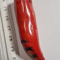 cornetto portafortuna