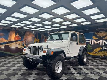 Jeep Wrangler TJ Hard Top 4.0 (441)