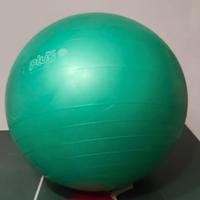 Palla per fisioterapia 75 cm