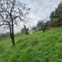 TER. AGRICOLO A CUMIANA