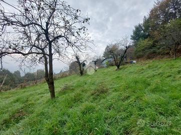 TER. AGRICOLO A CUMIANA