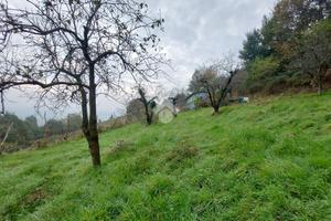 TER. AGRICOLO A CUMIANA