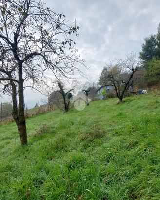 TER. AGRICOLO A CUMIANA