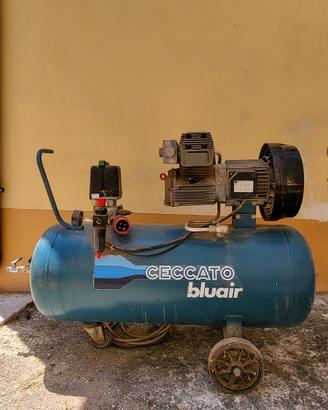 Compressore aria Ceccato Bluair 100 L 2 HP