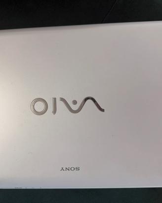 Computer Sony Vaio