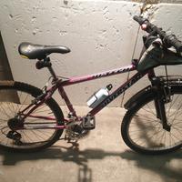 bici ragazza ruote da 24