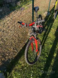Mountain bike bimbo