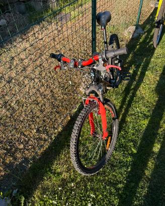 Mountain bike bimbo