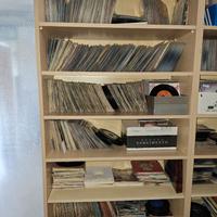 Dischi in vinile 33 e 45 giri