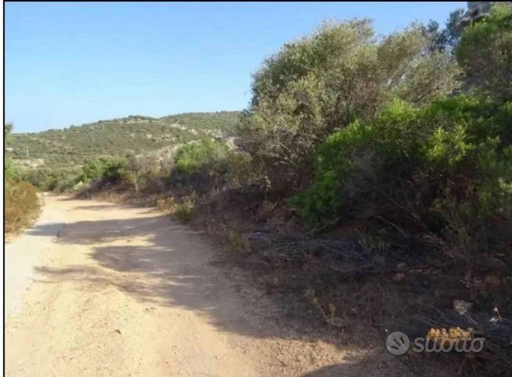 Immobile in asta di 5745 m² a Olbia - Vista 4