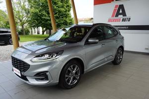 Ford Kuga 1.5 ecoblue ST-Line 2wd 120cv auto