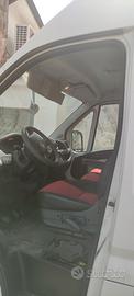 Ducato Maxi