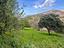 Immagine 25