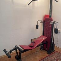 Palestra Ferrox mod. Magistra