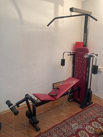 Palestra Ferrox mod. Magistra