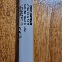 NEON SYLVANIA CORALSTAR FHO 24W T5 - 550 mm