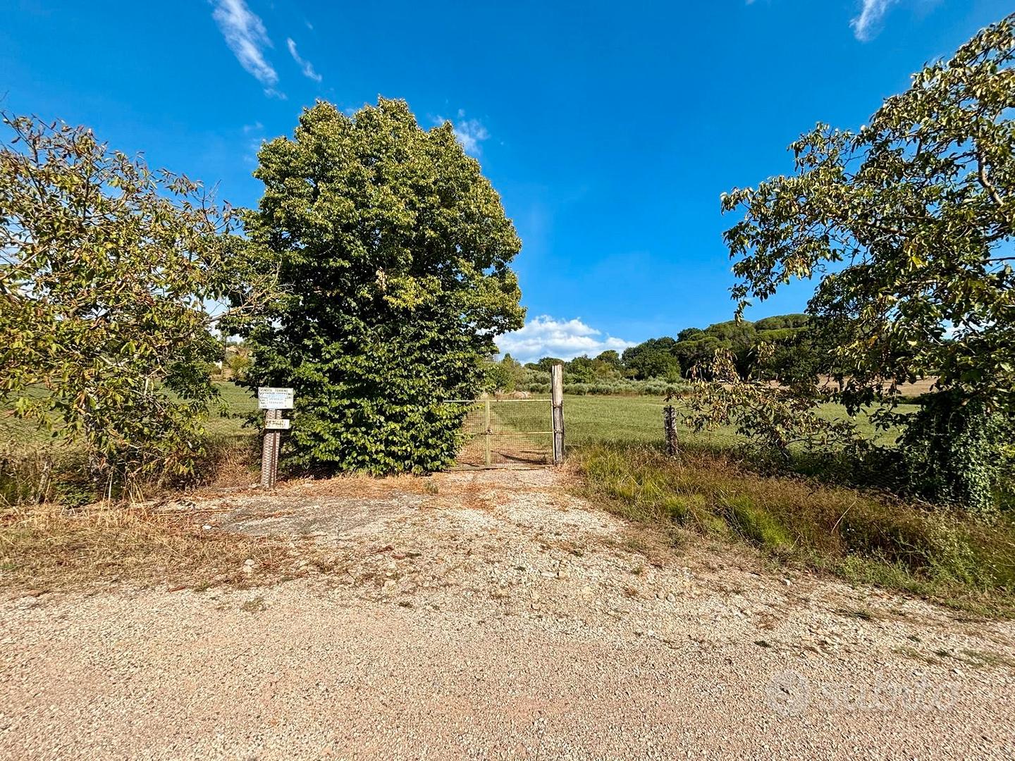 Terreno agricolo di 20.000 mq - Vista 2